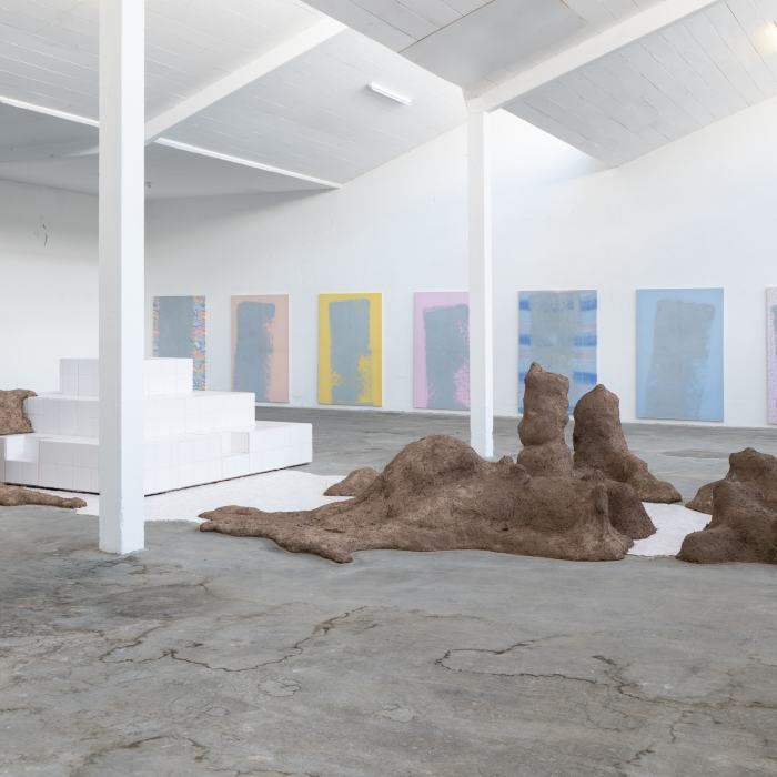 Alexandre Ghandour, Les humeurs sont liquides et les mirages solides, 2021, travail de Bachelor. Photo: Laura Morier-Genoud / EDHEA