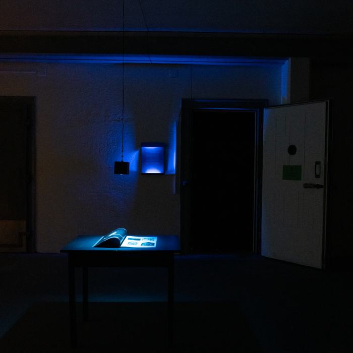 Carolina Opazo, Inverse magnetism / Magnetismo inverso, 2021, Master's diploma project. Picture: Laura Morier-Genoud / EDHEA