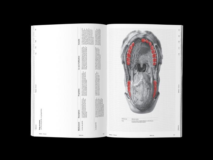 Salomé Locher, Le monde végétal, 2021, travail de diplôme